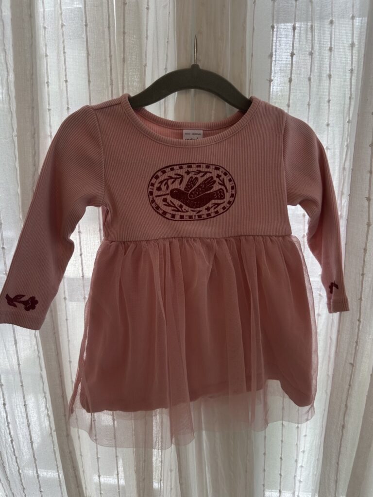 Pink Hummingbird Dress
